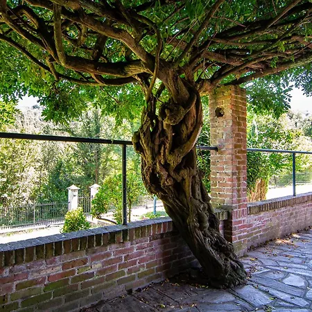 Elisa Casa de hóspedes Berzano di San Pietro